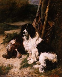 Brauner und weißer und schwarzer und weißer Spaniel von John Emms
