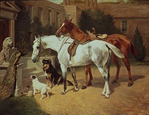 Pferde und Hunde