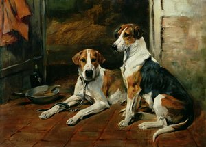 Hunde in einem Stallinneren
