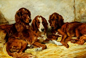 Shot und seine Freunde - Drei irische Rot-Weiße Setter, 1876 von John Emms