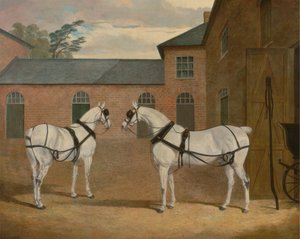 Graue Kutschpferde im Kutschenhof von Putteridge Bury, Hertfordshire von John Frederick Herring