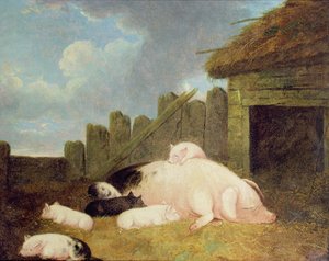 Sau mit Ferkeln im Stall von John Frederick Herring Junior