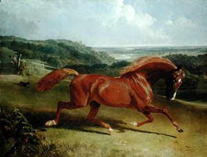 Galoppierendes Pferd in einer Landschaft von John Frederick Herring Senior