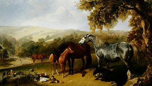 Stuten und Fohlen in einer Landschaft von John Frederick Herring Senior