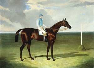 Mssrs. Ridsdales und Gullys St. Giles mit William Scott, 1832 von John Frederick Herring Senior