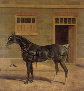 Unbekanntes Bild von John Frederick Herring Senior