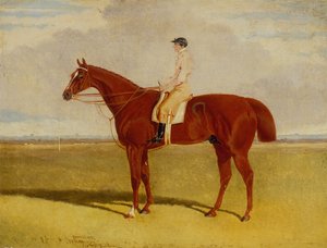 Plenipotentiary mit P. Conolly in Six Mile Bottom, Newmarket von John Frederick Jr. Herring