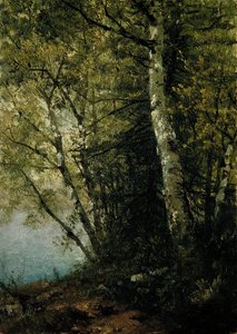 Studie von Buchen, 1872 von John Frederick Kensett