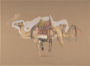 Zwei Kamele, ca. 1843 von John Frederick Lewis