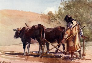 Pflügen auf dem Ölberg, 1902 von John Fulleylove