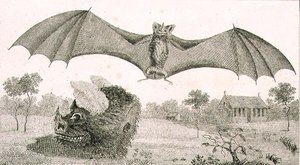 Der Vampir oder Geist von Guiana von John Gabriel (after) Stedman