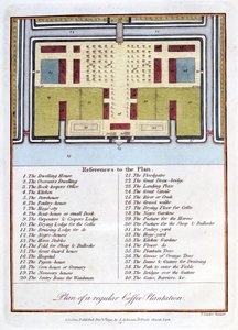 Plan einer regulären Kaffeeplantage, 1813