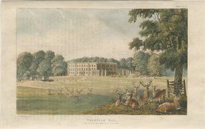 Trentham Hall: farbige Lithographie