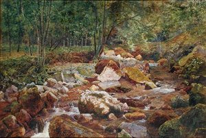 Ein felsiger Bach, überhangen von Bäumen (Aquarell und Körperfarbe mit Gummi arabicum auf Papier) von John George Sowerby