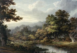 Waldlichtung mit Teich und Hirschen