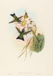 Glühender Puff-Leg