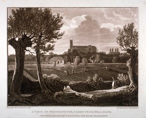 Ansicht von Westminster von Millbank aus, London, 1807 von John Hall