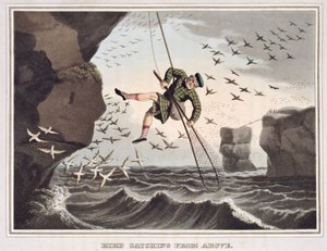 Vogeljagd von oben, graviert von Matthew Dubourg, veröffentlicht von Edward Orme, 1813 von John Heaviside Clark