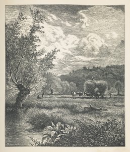 Tafel 10. Ein Heuhaufen auf einem Wagen. Nature Pictures. Eine Serie von dreißig Originalillustrationen, auf Holz gezeichnet von J. H. Dell und graviert von R. Paterson. John Henry Dell von John Henry Dell