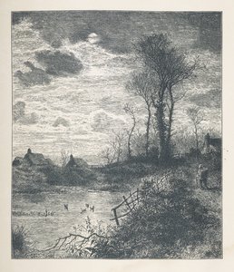 Tafel 23. Ein Teich, aus 