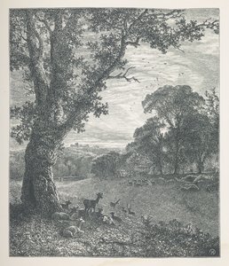 Tafel 3. Hirsche um einen Baum. Naturbilder. Eine Serie von dreißig Originalillustrationen, auf Holz gezeichnet von J. H. Dell und graviert von R. Paterson