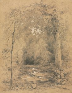 Waldinneres, ca. 1870 von John Henry Hill