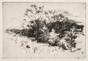 Herbstlandschaft, 1879-80 von John Henry Twachtman