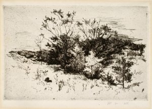 Landschaft bei Cincinnati von John Henry Twachtman