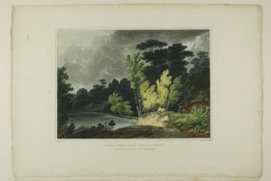 Spirit Creek; in der Nähe von Augusta, Georgia, Platte zwei der zweiten Nummer von Picturesque Views of American Scenery