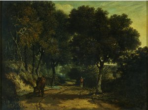 Ein schattiger Landweg