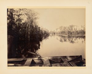 Silver Springs, Florida, flussaufwärts gesehen von John K. Hillers