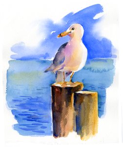 Möwe auf dem Dock