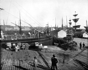 Hafen von Auckland, Neuseeland, 1893