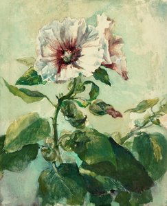 Studie von rosa Stockrosen im Sonnenlicht, aus der Natur von John La Farge