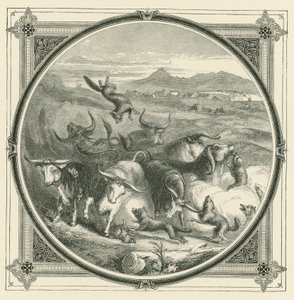 Wenn der Wolf kommt, hören die Ochsen auf zu kämpfen, um sich zur Selbstverteidigung zu vereinen (Stich)