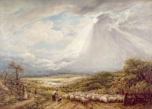 Die Herde treiben
