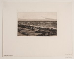 Strand von Tisvilde