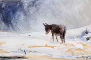 Esel im Schnee