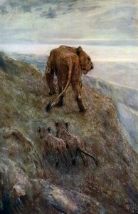 Auf der Lauer - Löwin und Junge, ca. 1878-1910, 1912 von John Macallan Swan