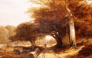Waldlandschaft von John Middleton