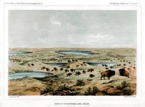 Bisonherde in der Nähe des Lake Jessie, North Dakota, USA, 1856