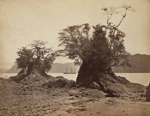 Inseln in der Limón-Bucht, 1871 von John Moran