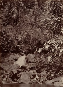 Tropische Landschaft, Wasserfall, Limon River, 1871 von John Moran
