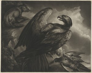 Adler und Fuchs