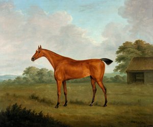 Kastanienbraunes Pferd in einer Landschaft, 1815 von John Nott Sartorius