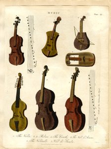 Streichinstrumente der klassischen Musik von John Pass