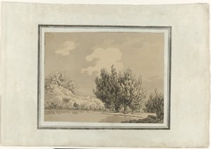 Pappel von John Robert Cozens (signed by artist)