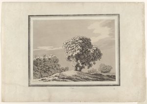 Ulme von John Robert Cozens