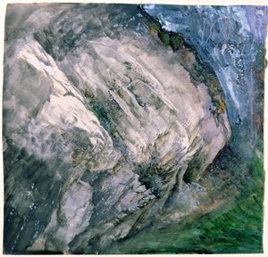 Felsen und Vegetation in Chamouni, 1854