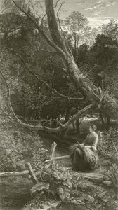 Dämmerung im Wald